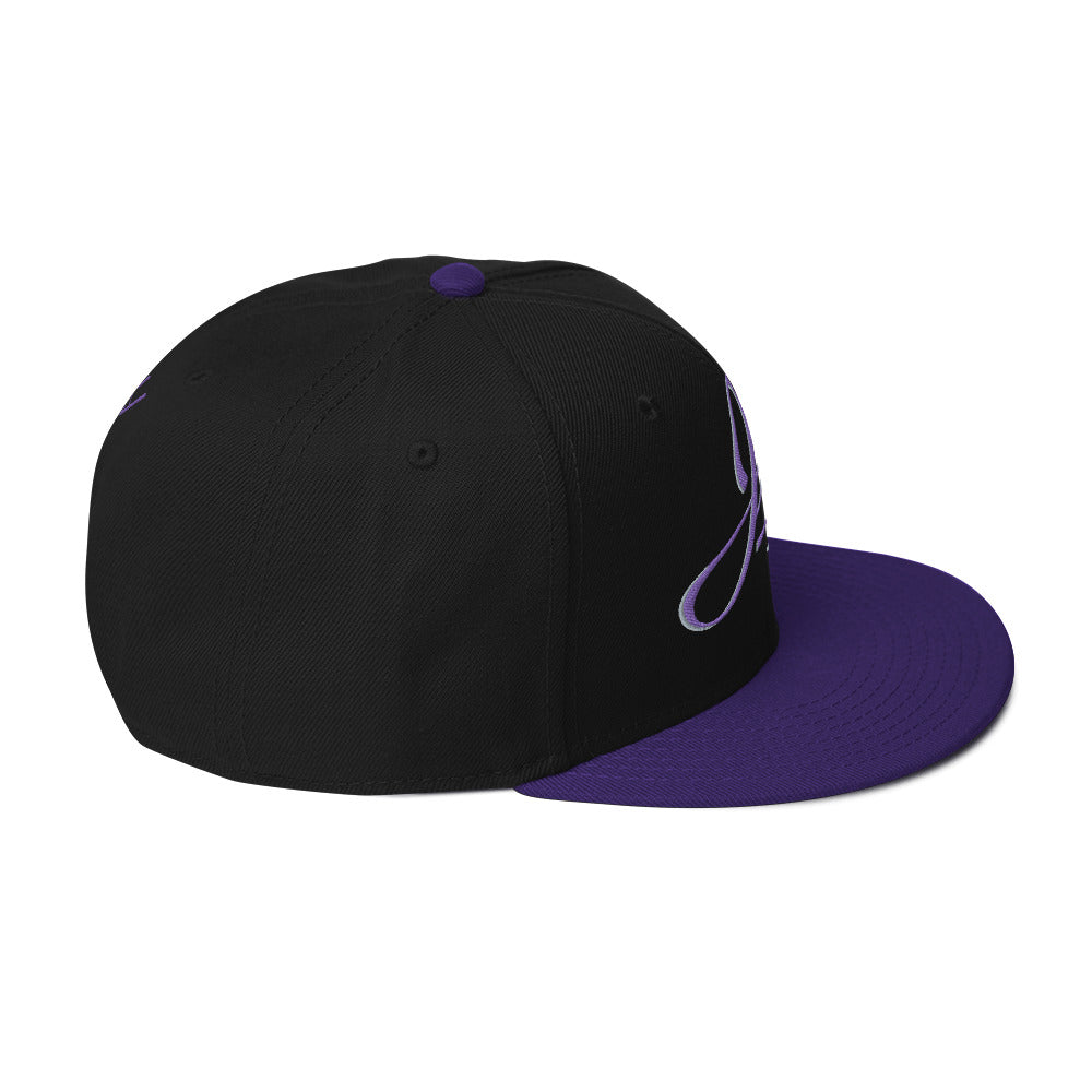 Snapback Hat w/ Brand logo